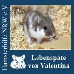 valentinalp.jpg