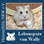 wallylp.jpg
