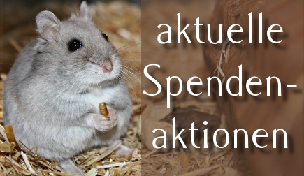 Aktuelle Spendenaktionen