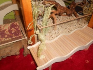 Gwenny (9)