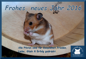 neuesJahr2016
